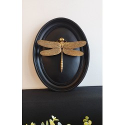 Cadre médaillon libellule noir et or