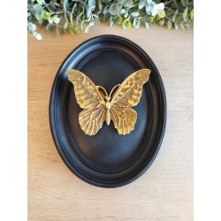 Cadre médaillon papillon noir et or