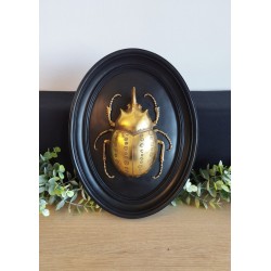 Cadre médaillon scarabée noir et or