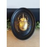 Décoration plaque médaillon scarabée noir et or
