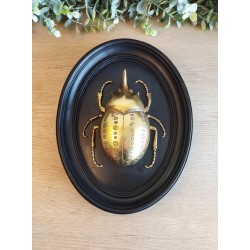 Cadre médaillon scarabée noir et or