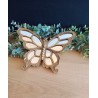 Papillon miroir or