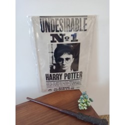 Plaque métal Harry Potter 3D