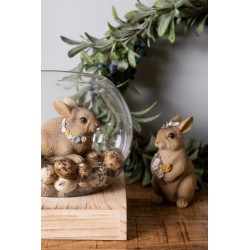 Lapin fleuri à diadème et bouquet