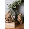 Lapin fleuri à diadème et bouquet