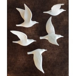 Oiseaux type albatros en vol en biscuit